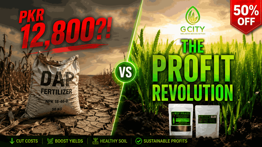 Comparison of expensive chemical fertilizer costs vs profitable organic farming with Frass in Pakistan 2026.