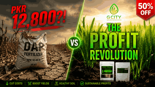 Comparison of expensive chemical fertilizer costs vs profitable organic farming with Frass in Pakistan 2026.