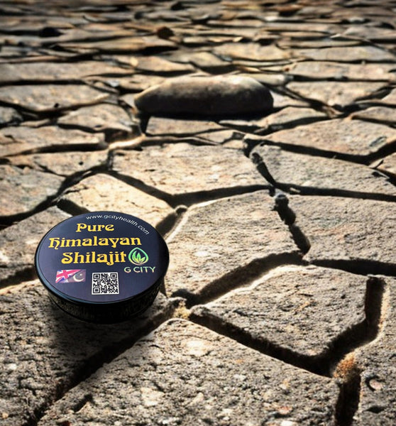 Pure Himalayan Shilajit